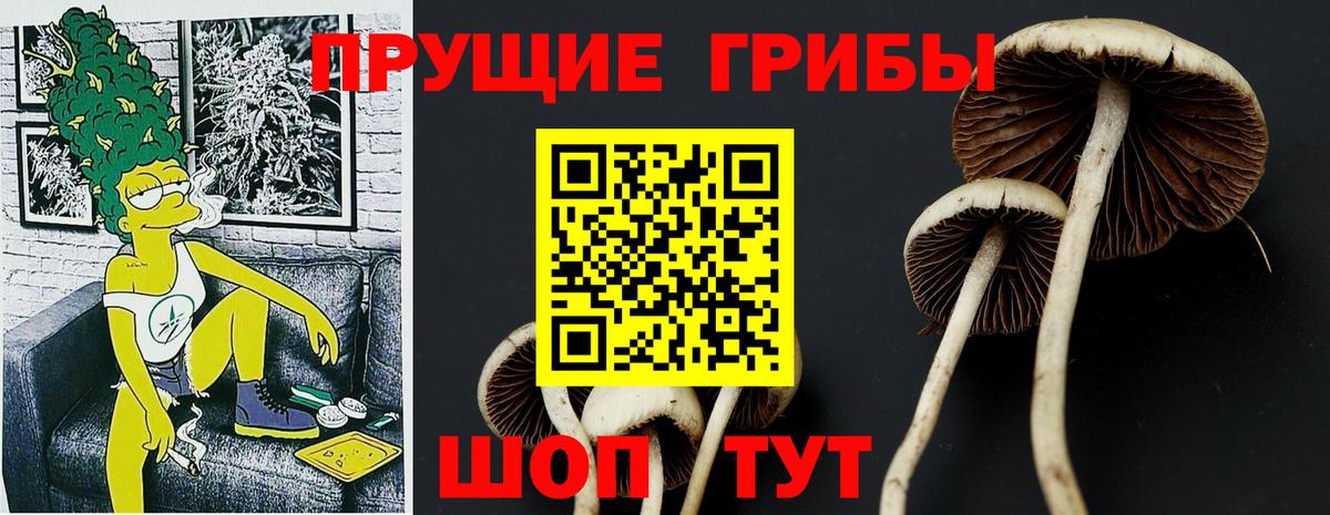 Псилоцибиновые грибы прущие грибы  Вход с VPN  Ногинск 